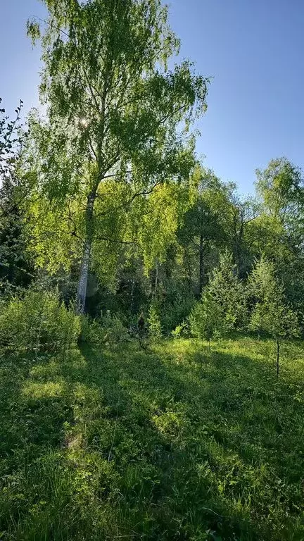 Участок 6,7 сот. (СНТ, ДНП) - Фото 0