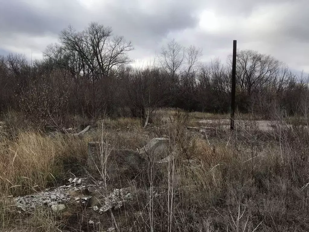 Склад в Волгоградская область, Михайловский район, с. Сидоры Садовая ... - Фото 0