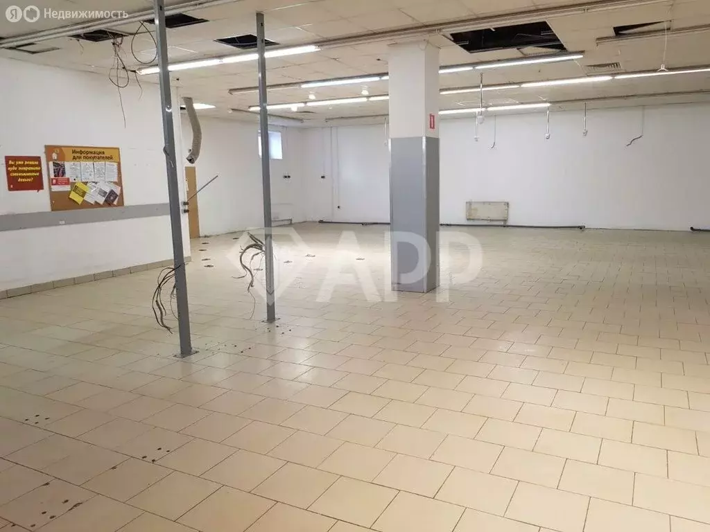 Помещение свободного назначения (482 м) - Фото 1