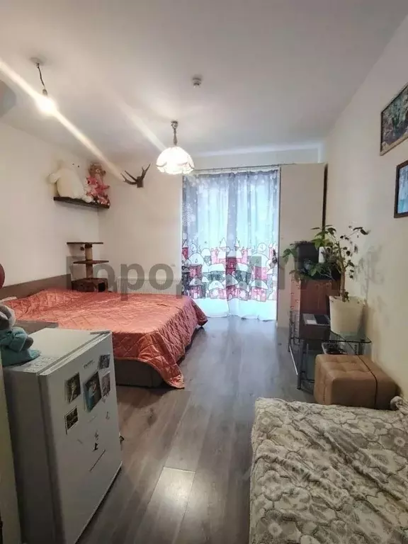 Студия Ленинградская область, Всеволожский район, пос. Бугры ул. ... - Фото 1