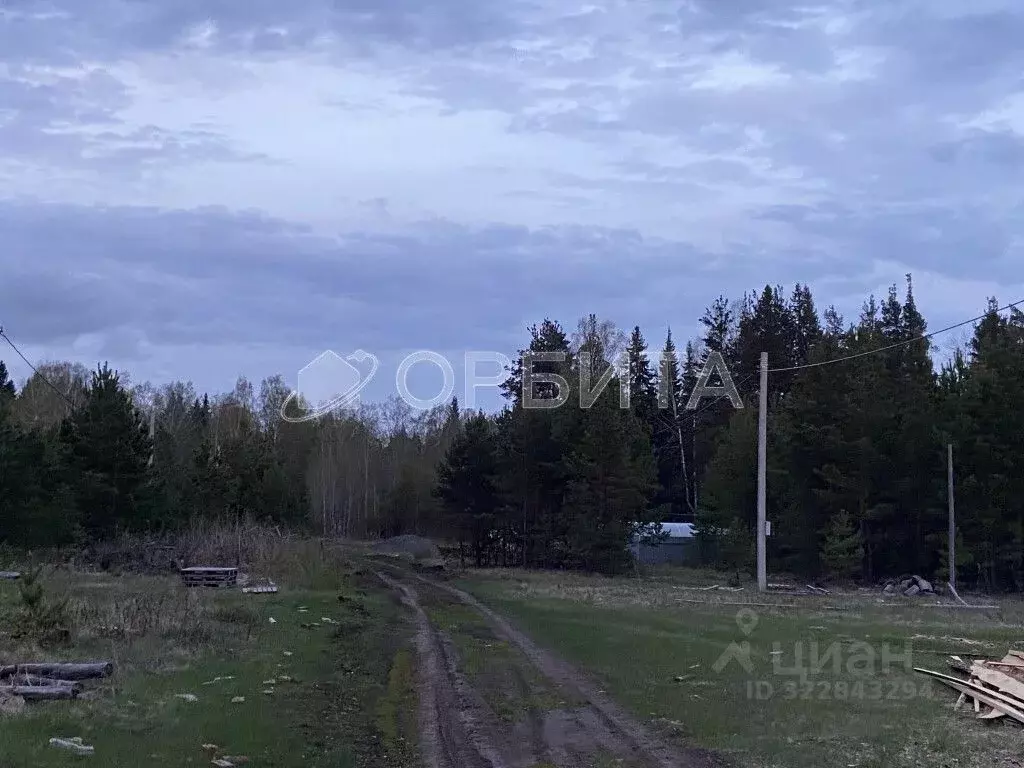 Участок в Свердловская область, Тугулымский муниципальный округ, с. ... - Фото 1