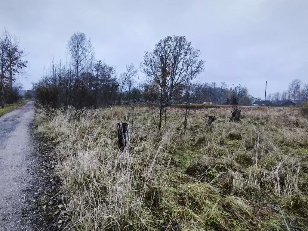 Участок в Псковская область, Печорский муниципальный округ, пос. ... - Фото 1