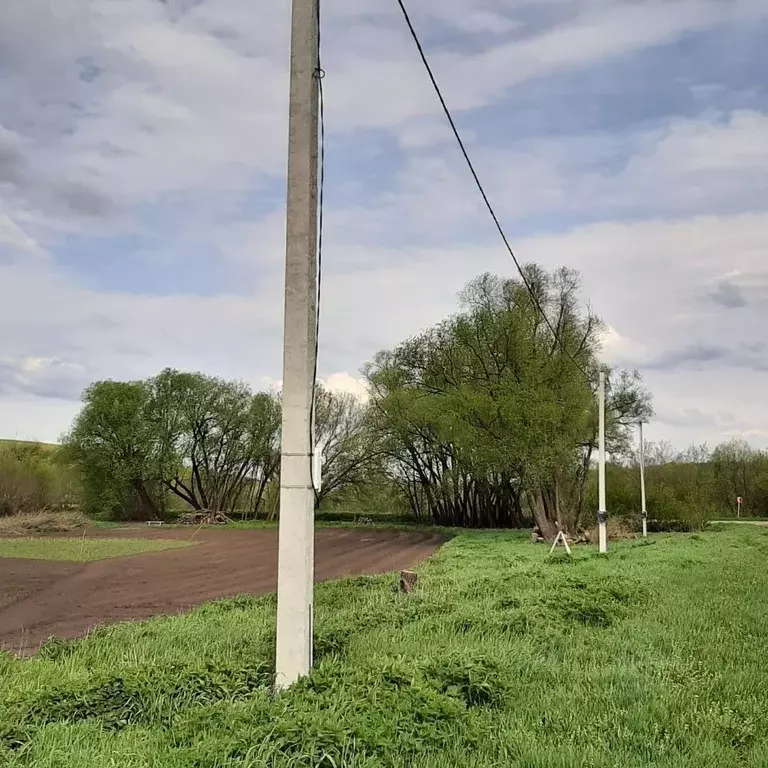 Участок в Воронежская область, Хохольский район, с. Староникольское ... - Фото 0