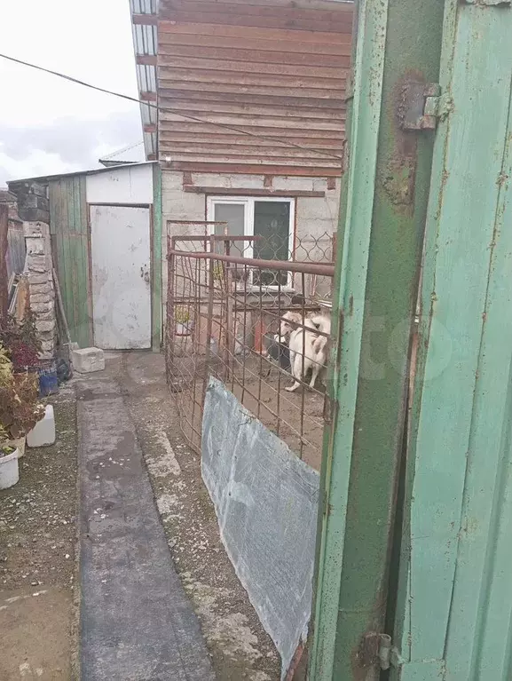 Дом 35 м на участке 13 сот. - Фото 1