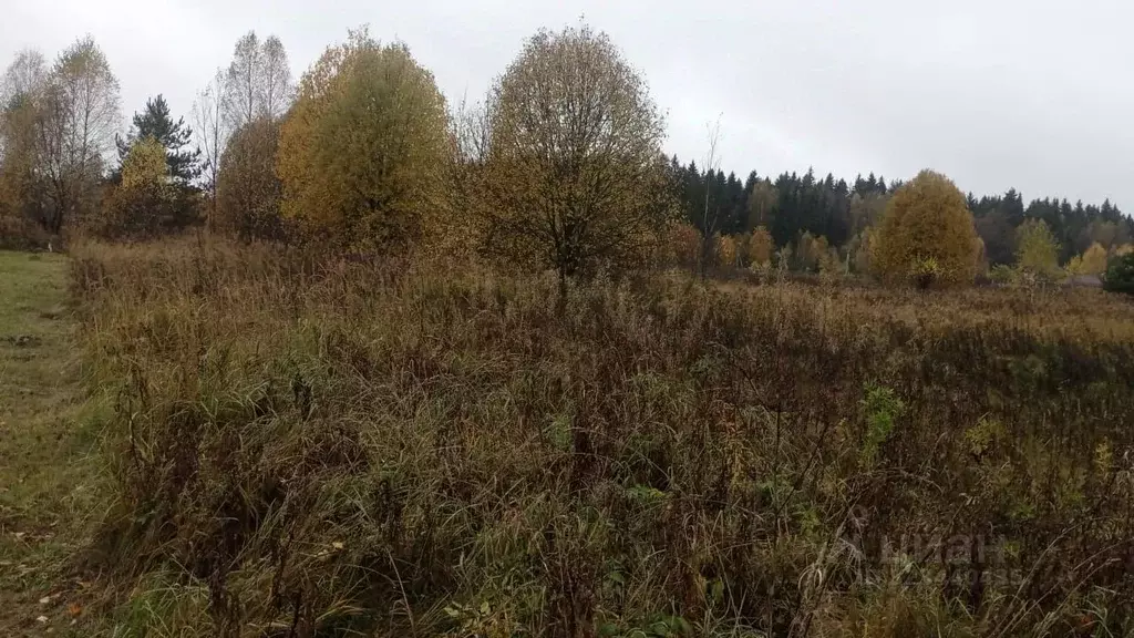 Участок в Московская область, Можайский муниципальный округ, д. ... - Фото 2