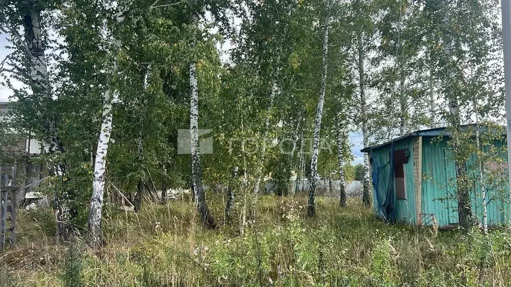 Участок в Новосибирская область, Новосибирский район, Криводановский ... - Фото 2