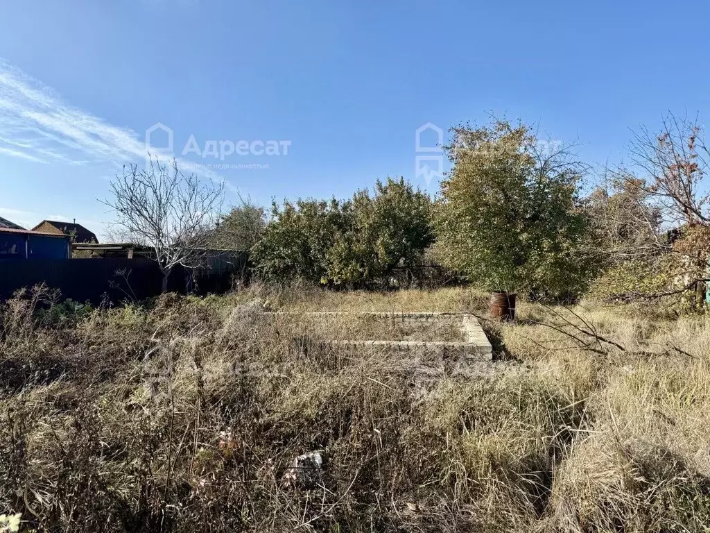 Участок в Волгоградская область, Волжский Здоровье Химика СНТ, ул. 8-я ... - Фото 2