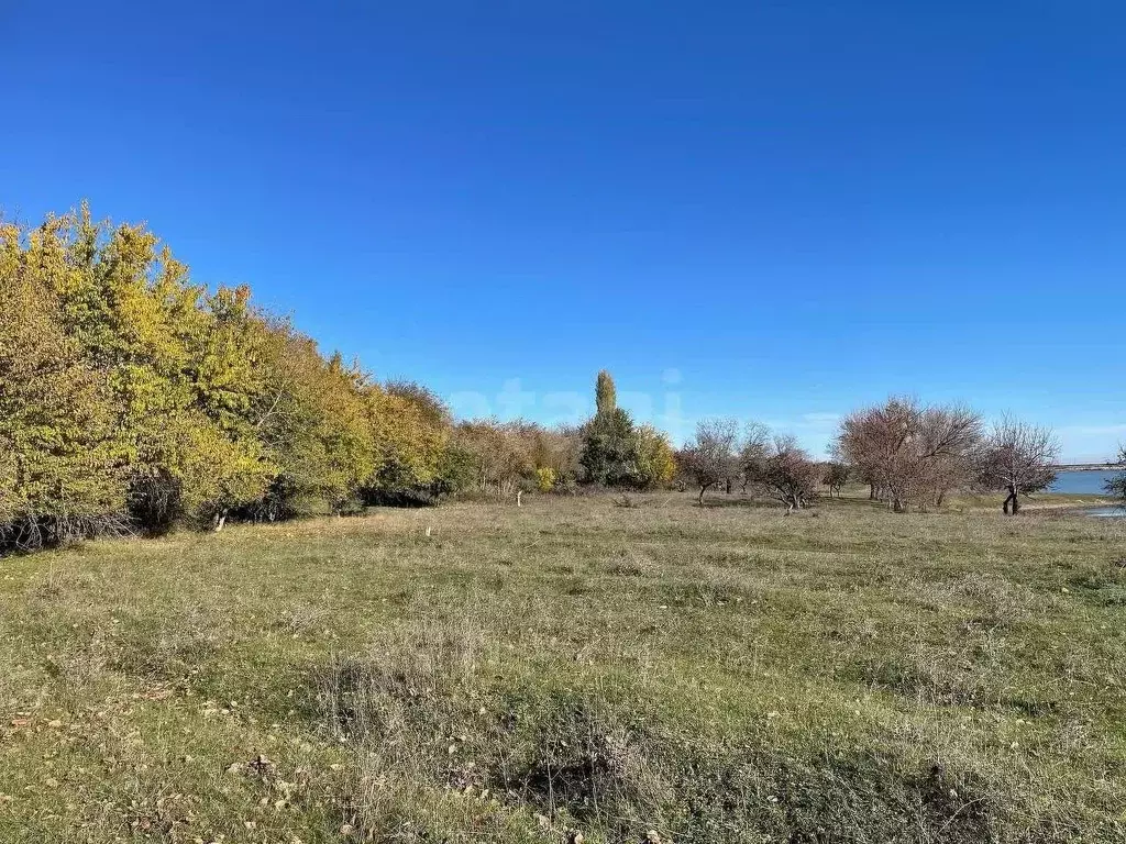 Участок в Крым, Кировский район, Старый Крым городское поселение ул. ... - Фото 0