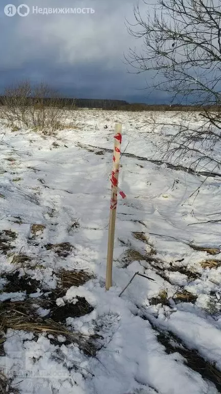 Участок в Московская область, муниципальный округ Лотошино, деревня ... - Фото 0