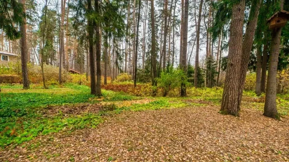 участок в московская область, одинцовский городской округ, пос. . - Фото 1