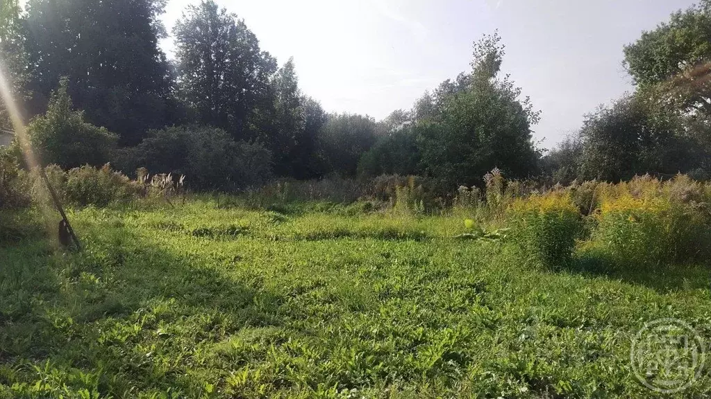 Участок в Ленинградская область, Ломоносовский район, Лебяженское ... - Фото 2