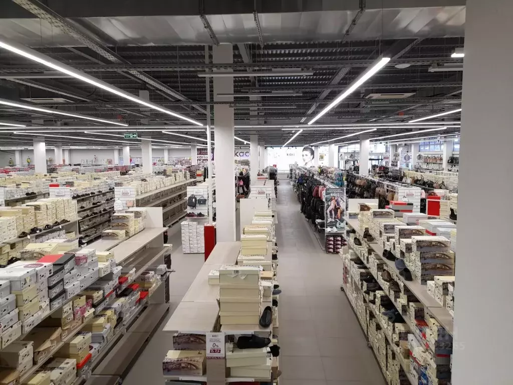 Торговая площадь в Брянская область, Брянск ул. 2-я Мичурина, 40Б ... - Фото 2