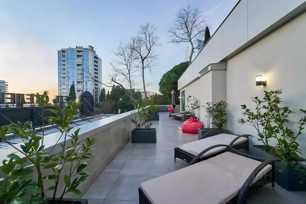 Комната Краснодарский край, Сочи Курортный просп., 70 (45.0 м) - Фото 1