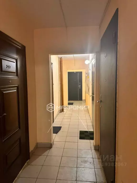 Студия Новосибирская область, Новосибирск Горский мкр, 63/1 (22.2 м) - Фото 1