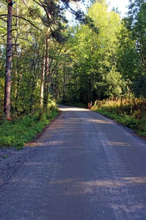 Участок в Карелия, Лахденпохский муниципальный округ, Соролансаари ... - Фото 2