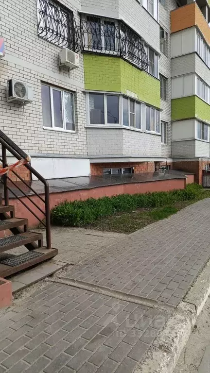 Офис в Воронежская область, Воронеж ул. Тимирязева, 27а (27 м) - Фото 2
