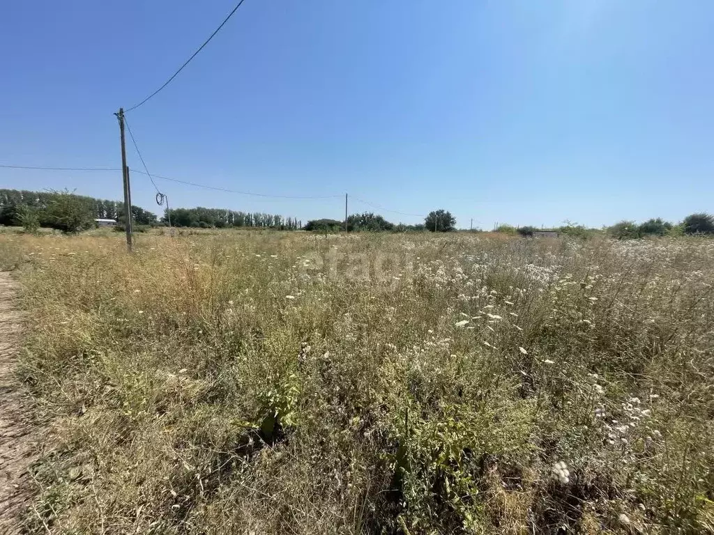 участок в краснодарский край, динской район, с. красносельское . - Фото 0