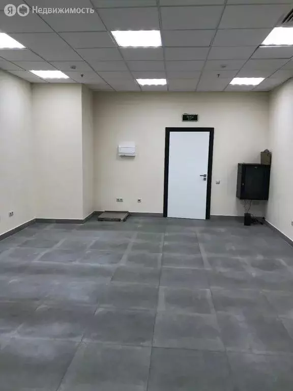 Офис (46.8 м) - Фото 2