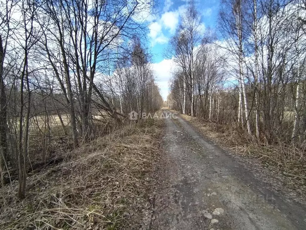 Участок в Карелия, Кондопожский район, Кончезерское с/пос, Коналахти ... - Фото 2