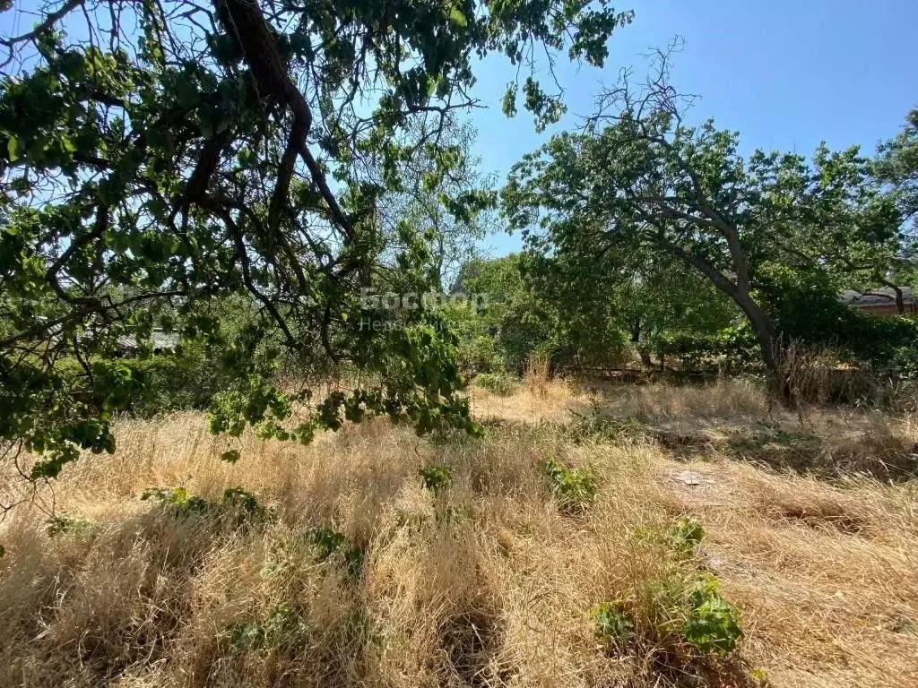 Участок в Крым, Феодосия Оптик ТСН,  (4.4 сот.) - Фото 1