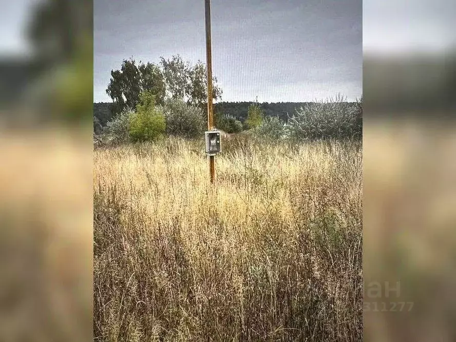 Участок в Курганская область, с. Кетово ул. Мирная (12.0 сот.) - Фото 2