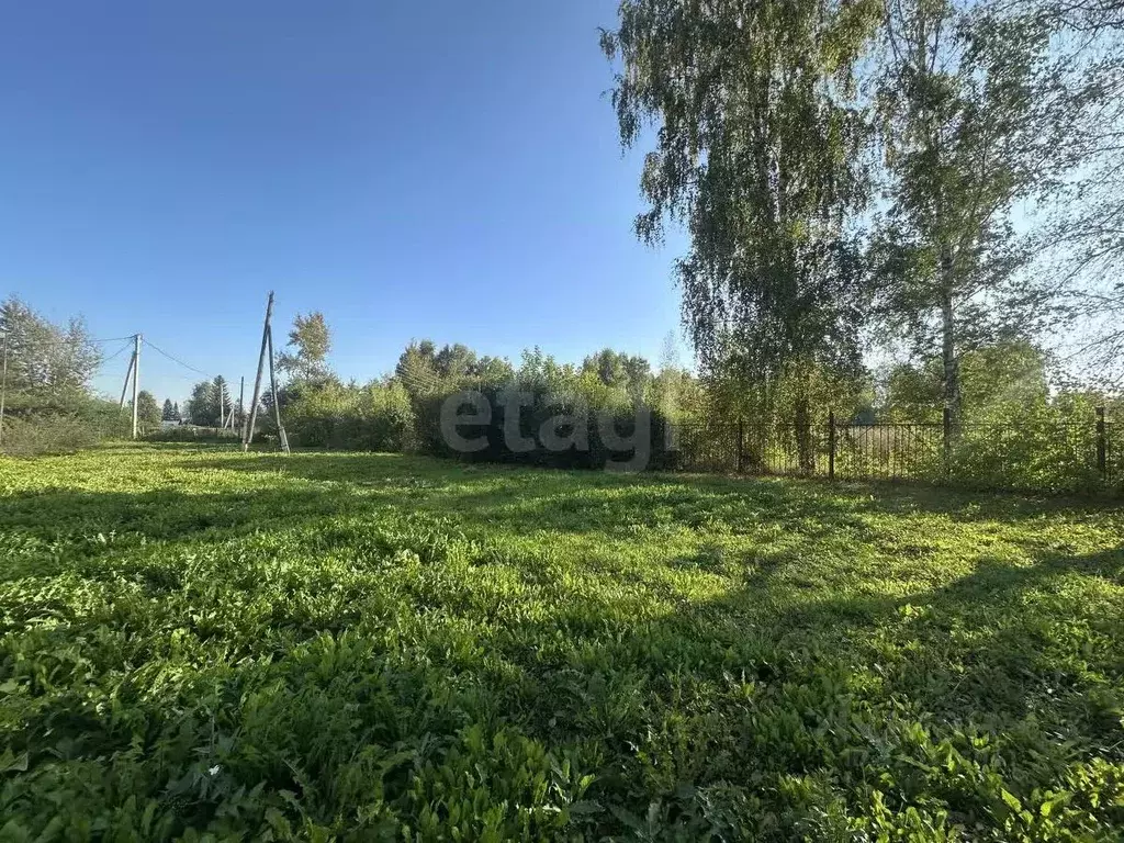 Участок в Новосибирская область, Искитимский район, пос. Мичуринский ... - Фото 1