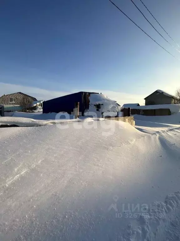 Участок в Ямало-Ненецкий АО, Новый Уренгой Лира ДНТ, ул. Уютная, 1 ... - Фото 2