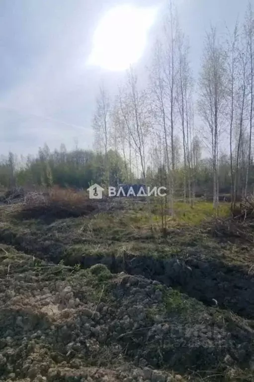 Участок в Ленинградская область, Тосненский район, Ульяновское ... - Фото 1