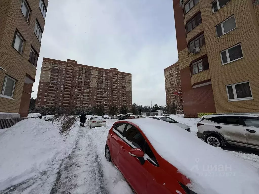 Студия Московская область, Богородский городской округ, д. Щемилово ... - Фото 1