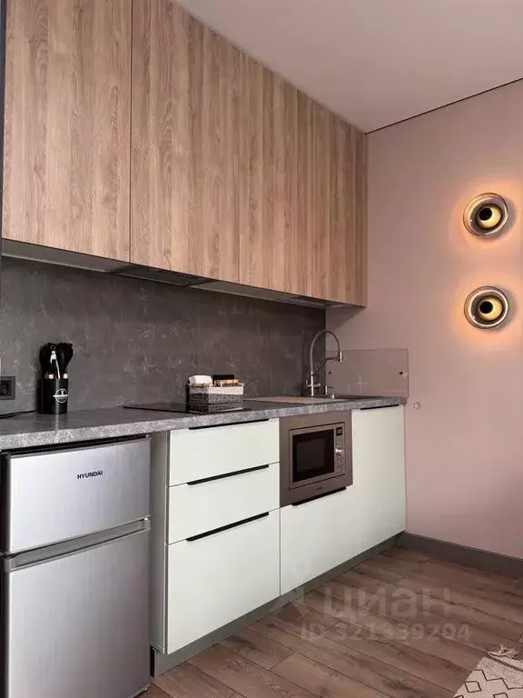 Студия Пермский край, Пермь Малая ул., 6 (24.0 м) - Фото 2