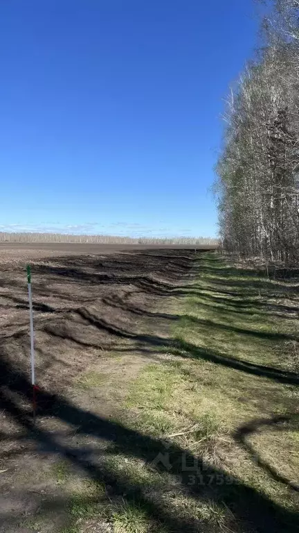 Участок в Тюменская область, Тюменский район, с. Горьковка Сибирская ... - Фото 0
