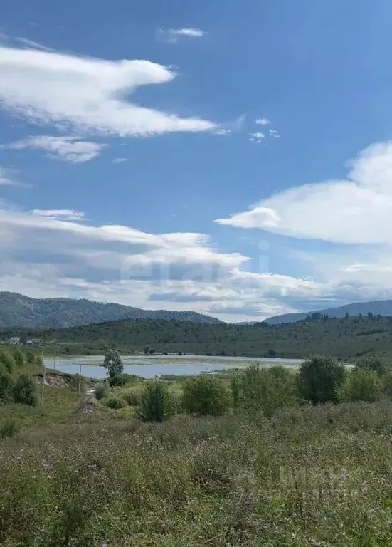 Участок в Алтайский край, Алтайский район, пос. Катунь ул. Пучина, 3/2 ... - Фото 1
