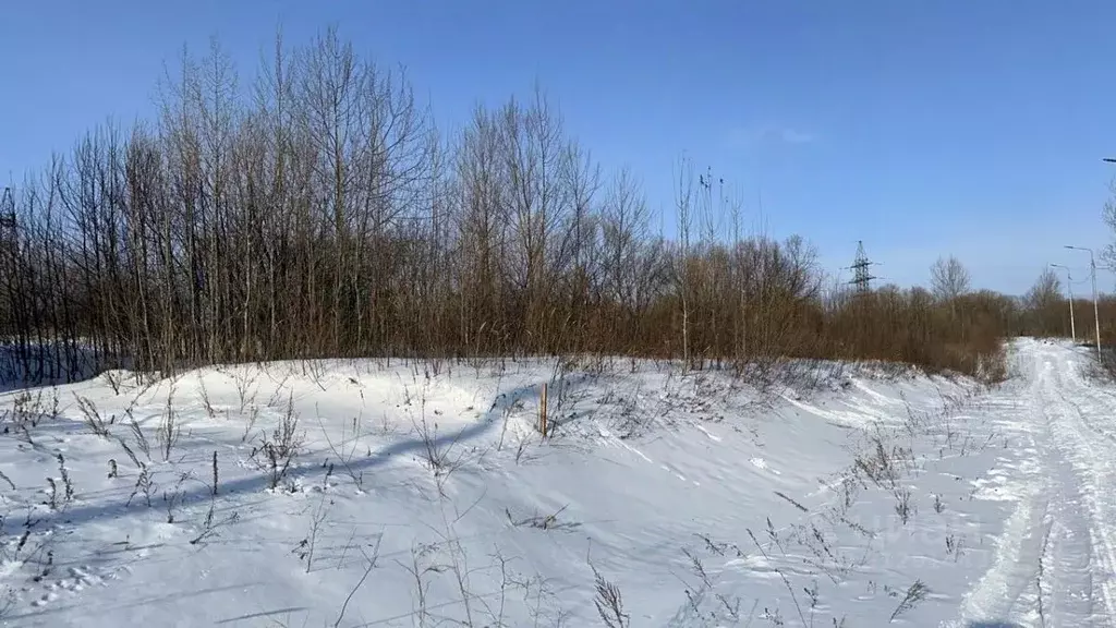 Участок в Хабаровский край, Хабаровск пос. Березовка, ул. Октябрьская, ... - Фото 1