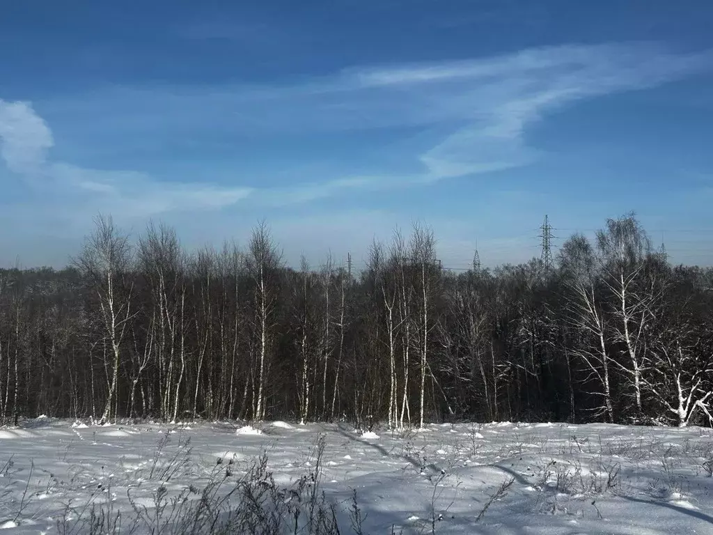 Участок в Московская область, Ступино городской округ, д. Городище  ... - Фото 1