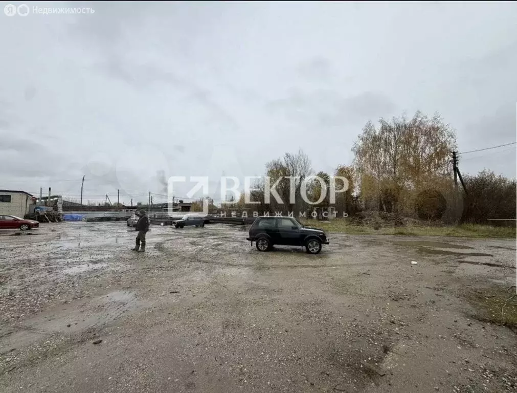 Участок в Кострома, коттеджный посёлок Первый (38.5 м) - Фото 1