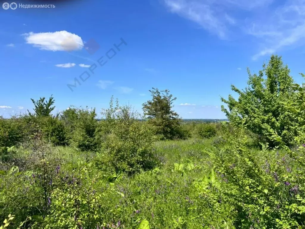 Участок в станица Смоленская, Степная улица (9.95 м) - Фото 1