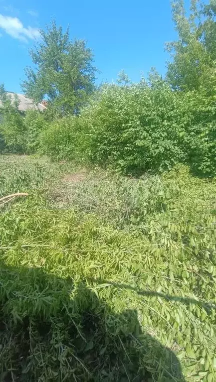 Участок в Саратовская область, Балашов Цветочная ул. (10.0 сот.) - Фото 1