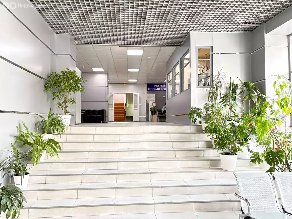 Офис (15.9 м) - Фото 2