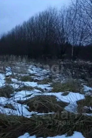 Участок в Вологодская область, пос. Лесково  (10.0 сот.) - Фото 1