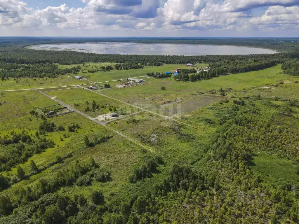Участок в Тюменская область, Нижнетавдинский муниципальный округ, ... - Фото 1