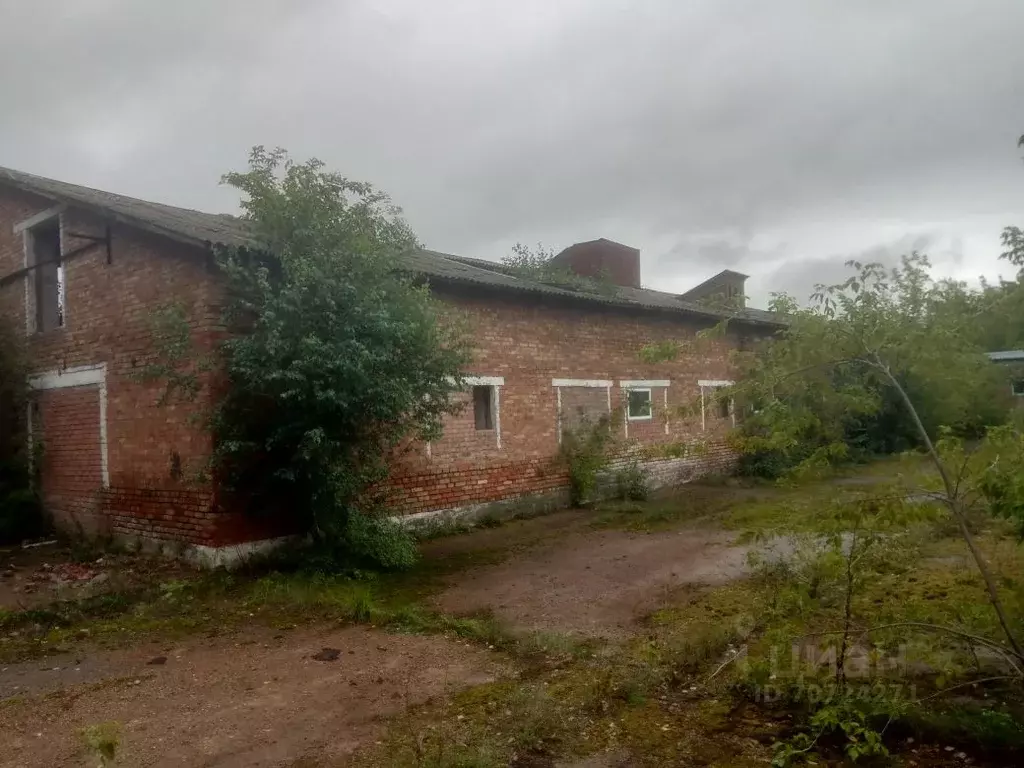 Производственное помещение в Башкортостан, Чишминский район, с. Чишмы . - Фото 1