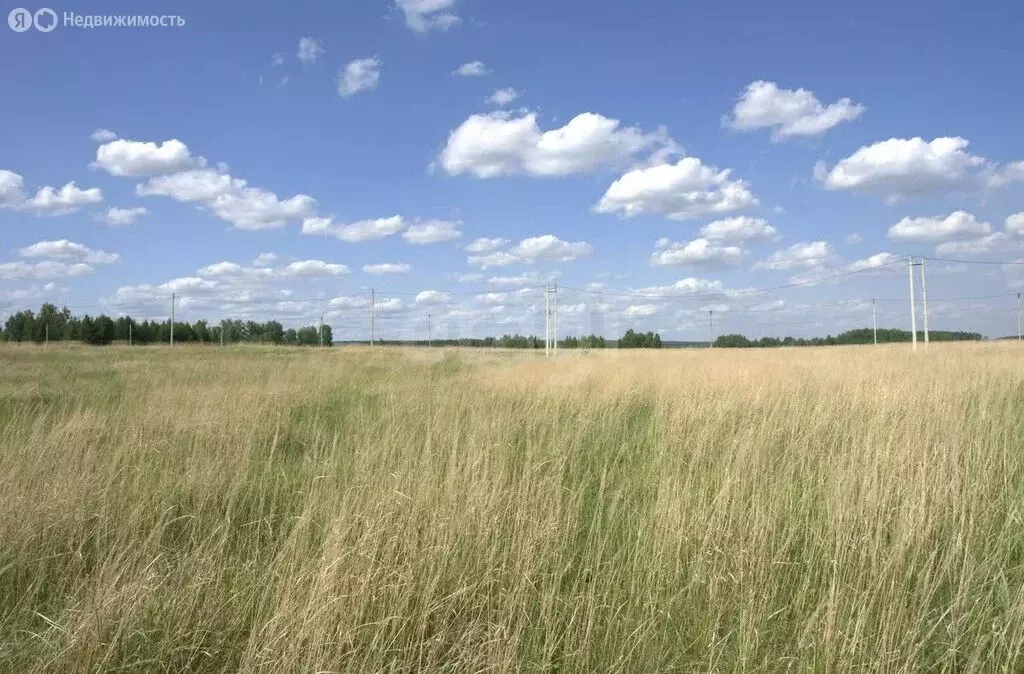 Участок в Тукаевский район, Калмиинское сельское поселение, деревня ... - Фото 2