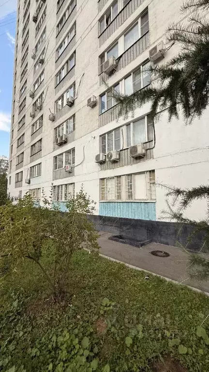 Помещение свободного назначения в Москва Алма-Атинская ул., 7К2 (500 ... - Фото 2