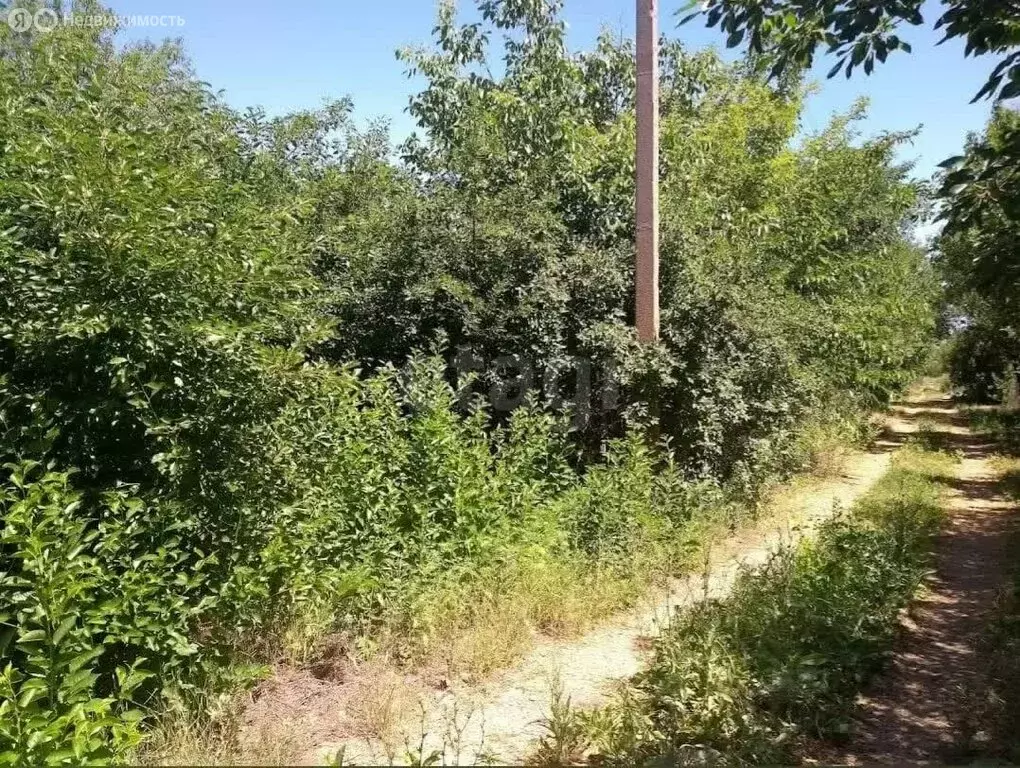 Участок в Большекрепинское сельское поселение, садоводческое ... - Фото 1