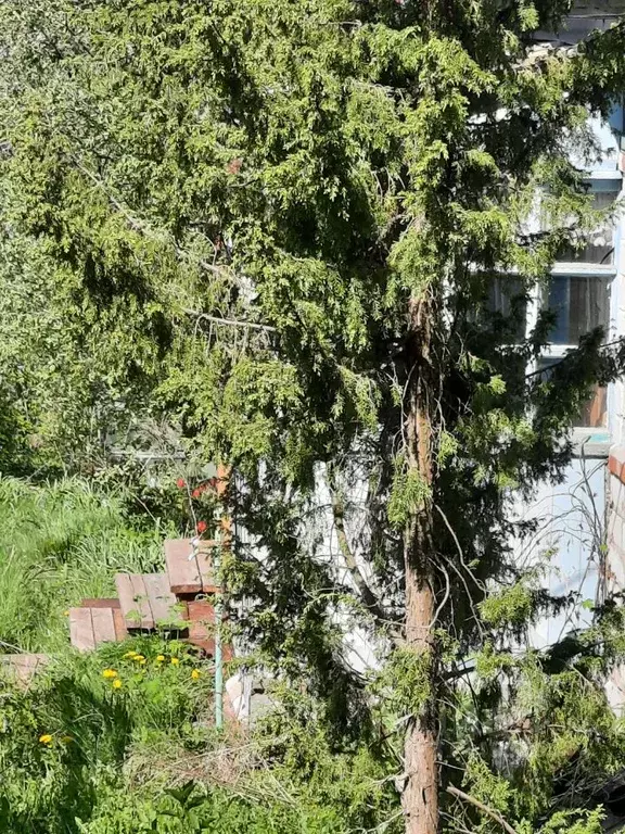 Дом в Нижегородская область, Богородский муниципальный округ, ... - Фото 2