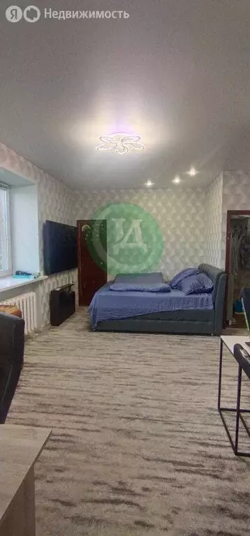 1-комнатная квартира: Орск, микрорайон Новый город, проезд ... - Фото 0