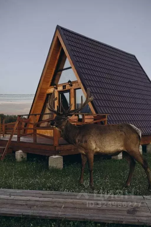 1-к кв. Бурятия, Тункинский район, пос. Аршан  (45.0 м) - Фото 0