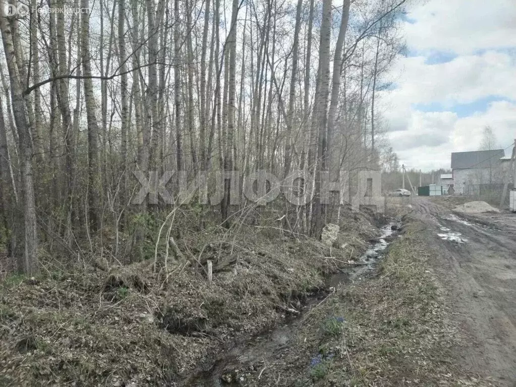 Участок в Новосибирск, улица Состязания (9 м) - Фото 1