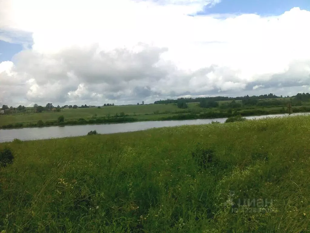 Участок в Новгородская область, Новгородский район, Трубичинское с/пос ... - Фото 2
