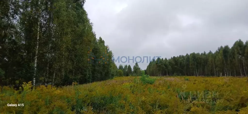 Участок в Нижегородская область, Бор муниципальный округ, д. Заскочиха ... - Фото 1